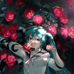 This is a pixiv picture whose title is 山茶花の血.