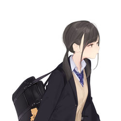 This is a pixiv picture whose title is おさげjk.