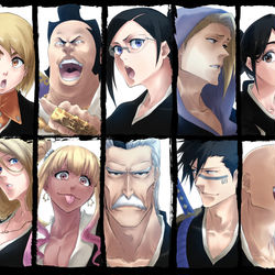 This is a pixiv picture whose title is 護廷十三隊副隊長.