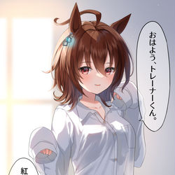 This is a pixiv picture whose title is 彼シャツアグネスタキオン.