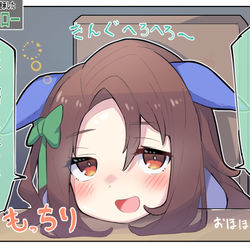 This is a pixiv picture whose title is セイウンスカイの因子を継承したキングヘイロー.