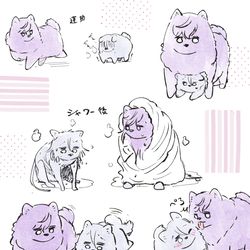 This is a pixiv picture whose title is 宵ポメとあちゃポメ①.