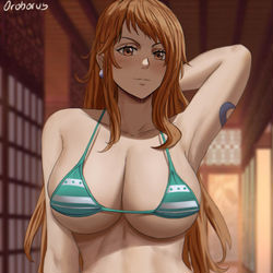 This is a pixiv picture whose title is Nami.