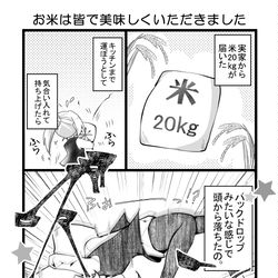 This is a pixiv picture whose title is お米は皆で美味しくいただきました.
