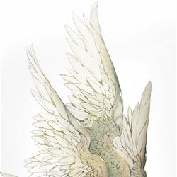 This is a pixiv picture whose title is 秘密.