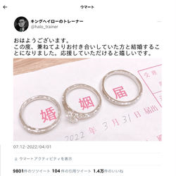 This is a pixiv picture whose title is キングトレーナーの結婚報告.
