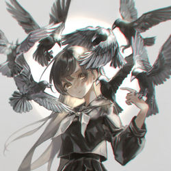This is a pixiv picture whose title is 黒.