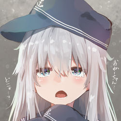 This is a pixiv picture whose title is 姉を探す響.