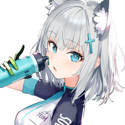 This is a pixiv picture whose title is シロコ.