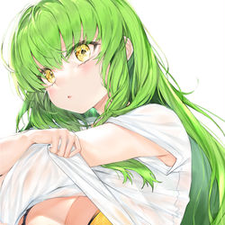 This is a pixiv picture whose title is C.C..