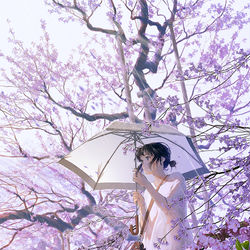 This is a pixiv picture whose title is 桜雨.