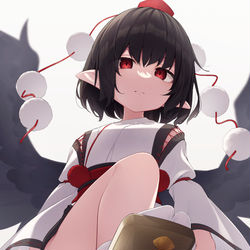 This is a pixiv picture whose title is 東方絵.