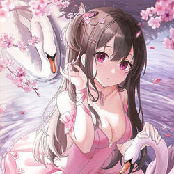 This is a pixiv picture whose title is swan.