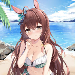 This is a pixiv picture whose title is メジロブライト.