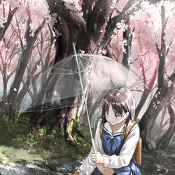This is a pixiv picture whose title is 君と出逢う春が来る.