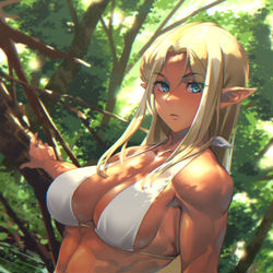 This is a pixiv picture whose title is エルフ.