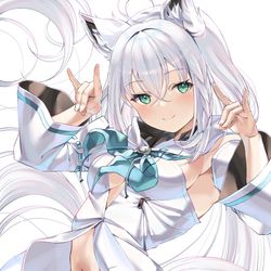 This is a pixiv picture whose title is 白上フブキ.