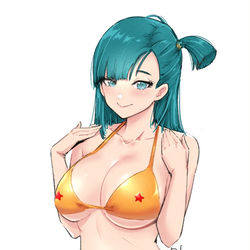 This is a pixiv picture whose title is Bulma.