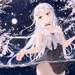 This is a pixiv picture whose title is 月夜の桜に誘われて.