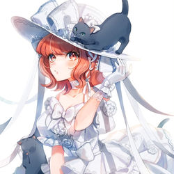This is a pixiv picture whose title is 帽子と猫.