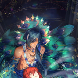 This is a pixiv picture whose title is 孔雀羽.
