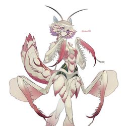 This is a pixiv picture whose title is ハナカマキリモチーフ.