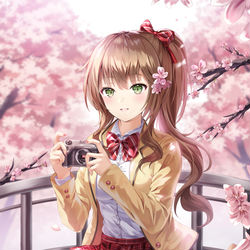 This is a pixiv picture whose title is 桜.