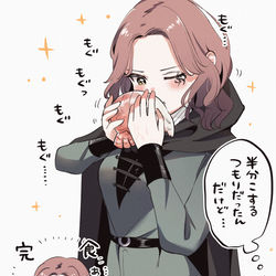 This is a pixiv picture whose title is エルデンリングまとめ2.