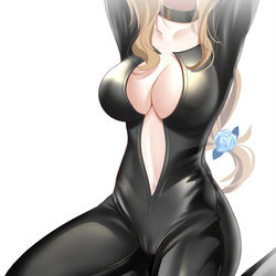 This is a pixiv picture whose title is 皮衣练习.