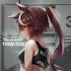 This is a pixiv picture whose title is トウカイテイオー.