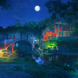 This is a pixiv picture whose title is 日本庭園 夜.