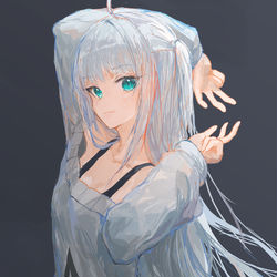 This is a pixiv picture whose title is 銀嶺壱珂.