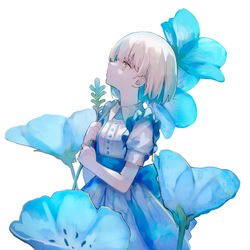 This is a pixiv picture whose title is ネモフィラ.