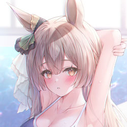 This is a pixiv picture whose title is スク水ダイヤ.