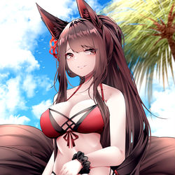 This is a pixiv picture whose title is Akagi.
