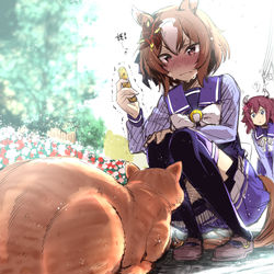 This is a pixiv picture whose title is 地域猫を(竹輪で)守護ろうとするヤエノムテキ.