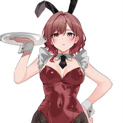 This is a pixiv picture whose title is bnuuy + omake.