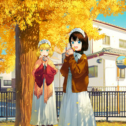 This is a pixiv picture whose title is イチョウとメイドさん.