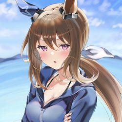 This is a pixiv picture whose title is パーカー脱いでくれないアヤベさん.