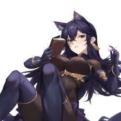 This is a pixiv picture whose title is commissions.