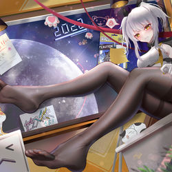 This is a pixiv picture whose title is 为了猫猫们，我一定会拿下文化寄！.