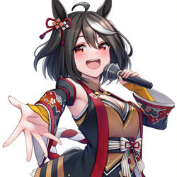 This is a pixiv picture whose title is キタサンブラック.