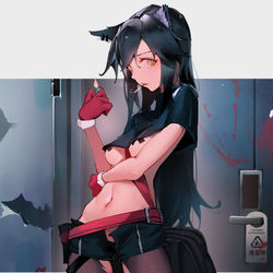 This is a pixiv picture whose title is 清扫完成。.