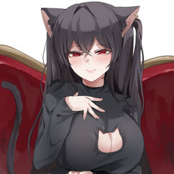 This is a pixiv picture whose title is 大鳳(cat).