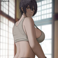 This is a pixiv picture whose title is Mikasa.