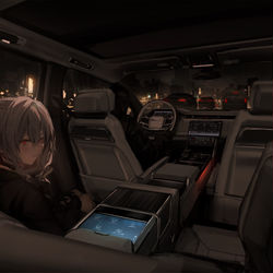 This is a pixiv picture whose title is range.