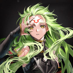 This is a pixiv picture whose title is C.C..