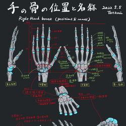 This is a pixiv picture whose title is 手の骨の位置と名称.
