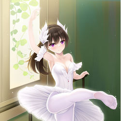 This is a pixiv picture whose title is 跳芭蕾的女孩.