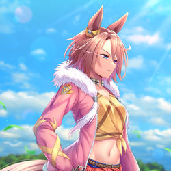 This is a pixiv picture whose title is ナリタタイシン.